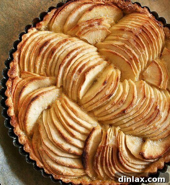 Exquisite French apple tart in a pan, featuring perfectly fanned apple slices and a golden crust, ready to impress as a stunning dessert.