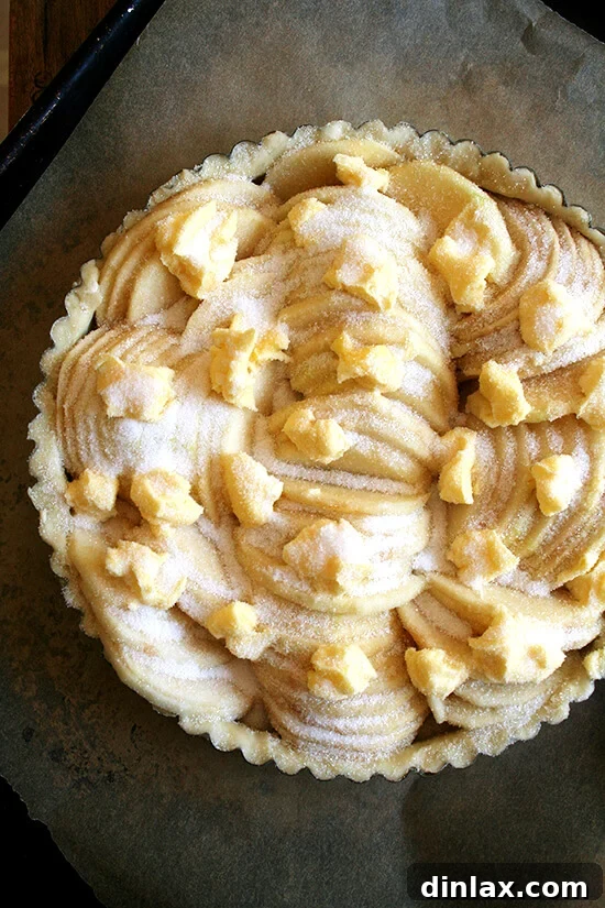 The apple tart, artfully assembled and poised for its golden transformation in the oven. An unbaked French apple tart, beautifully arranged with fanned apple slices over a layer of frangipane, poised for the oven.