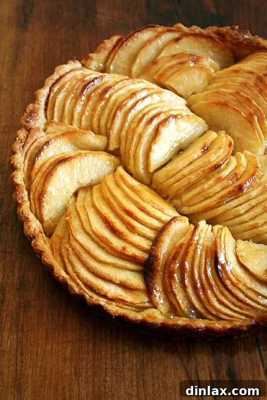 Brimming with perfectly fanned apple slices and a golden crust, this French apple tart is a stunning finale to any fall dinner, showcasing the reward of careful preparation. The golden-brown French apple tart, fresh from the oven, showcasing perfectly fanned apple slices and a glistening crust, a true culinary delight.
