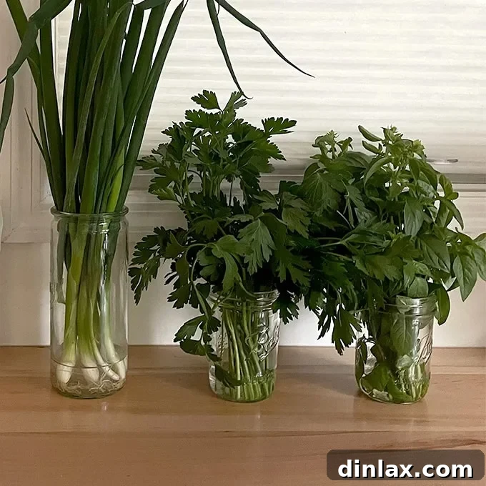 Fresh herbs, including basil and scallions, stored upright in glass jars on a kitchen countertop.