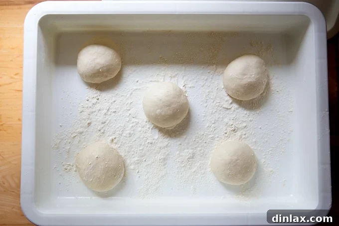 Five balled pretzel roll dough portions resting in a Dough Mate container for proofing.