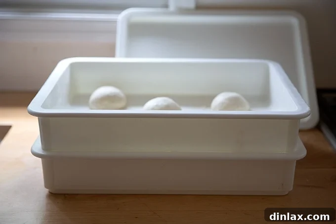 A Dough Mate container securely closed, holding pretzel roll dough balls during proofing.