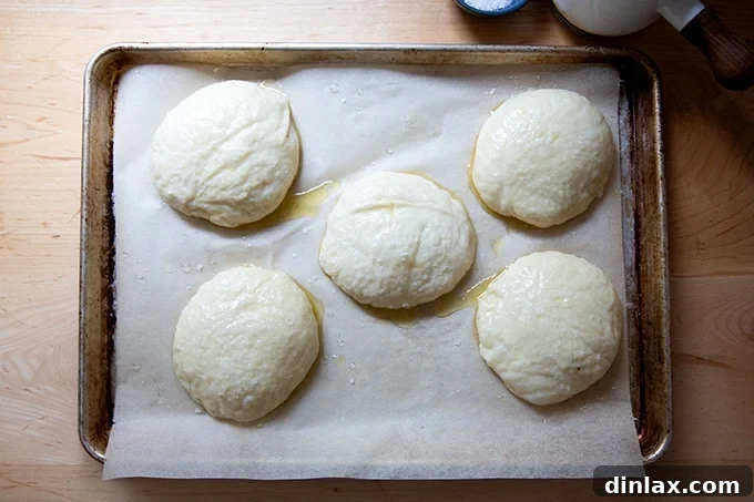 Five buttered and generously salted pretzel roll dough balls on a sheet pan.