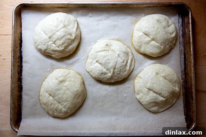 Five unbaked pretzel rolls on a sheet pan, each with two slashes on top.