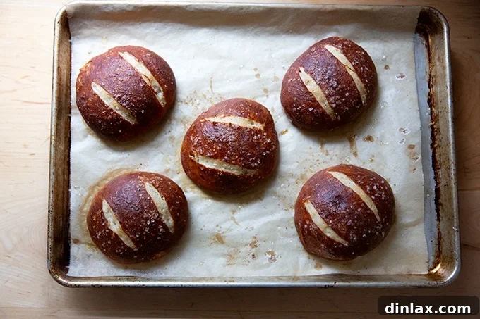 Five freshly baked, deeply golden-brown pretzel rolls on a sheet pan.