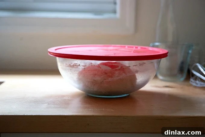 A mixing bowl tightly covered with a lid, containing pretzel roll dough.