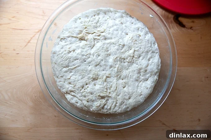 Risen, bubbly pretzel roll dough in a bowl after a long fermentation.