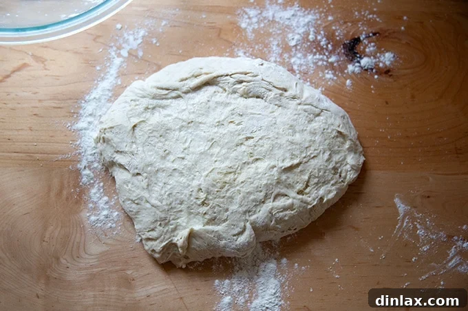 Pretzel roll dough gently turned out onto a lightly floured countertop.