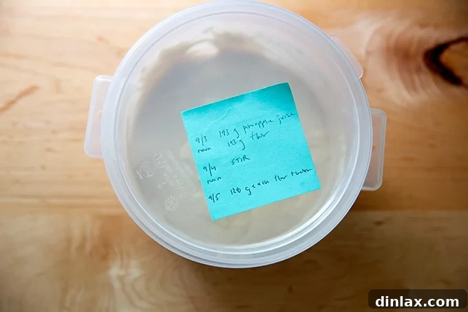 Cultivating Your Own Sourdough Starter 15 A two-quart container holding sourdough starter, covered with a post-it note, indicating completion of Day 3 feeding.