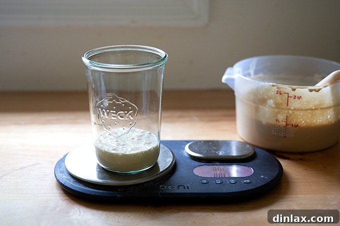 Cultivating Your Own Sourdough Starter 24 A Weck jar on a scale holding 128 grams of active sourdough starter.