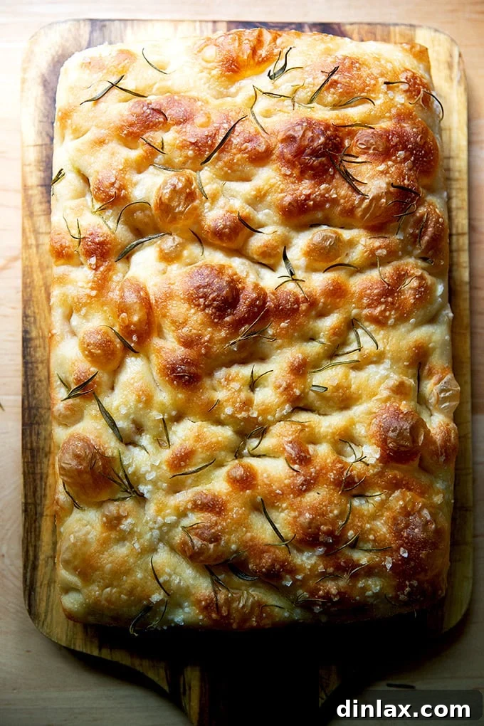 Cultivating Your Own Sourdough Starter 34 Golden-brown sourdough focaccia with dimples and herbs.