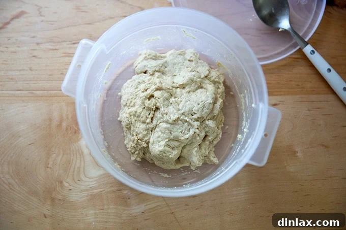 Cultivating Your Own Sourdough Starter 6 A 2-quart container holding just-mixed flour and pineapple juice, showcasing the initial consistency.