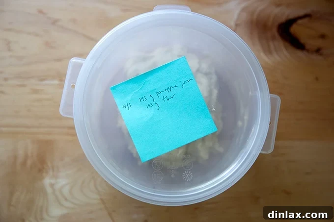 Cultivating Your Own Sourdough Starter 7 A covered 2-quart container with a post-it note on top, indicating proper labeling for tracking.