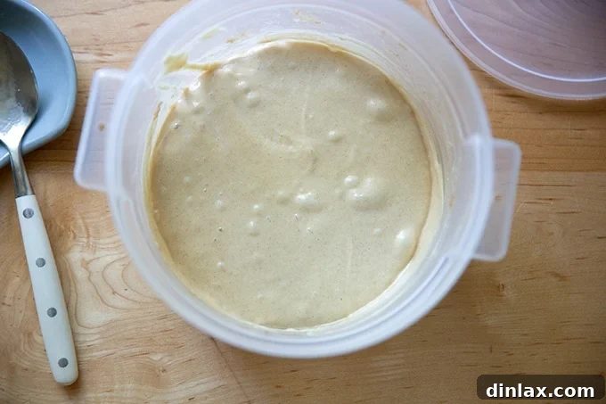 Cultivating Your Own Sourdough Starter 9 A two-quart container holding just-stirred sourdough starter aside a large spoon, showing the mixed consistency.