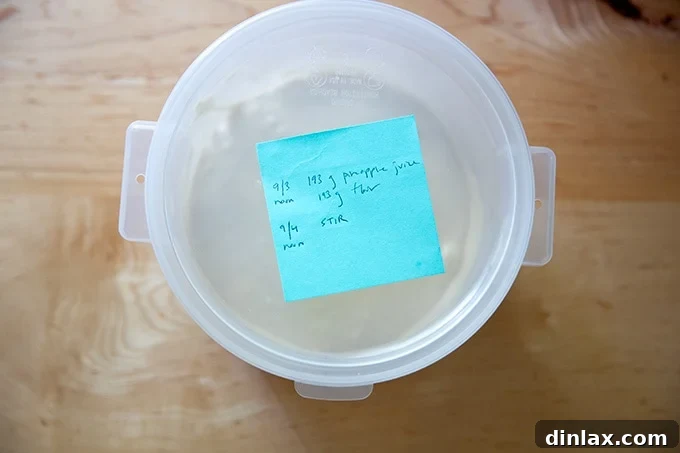 Cultivating Your Own Sourdough Starter 10 A covered 2-quart container with a post-it note on top, indicating it's been stirred and re-covered.