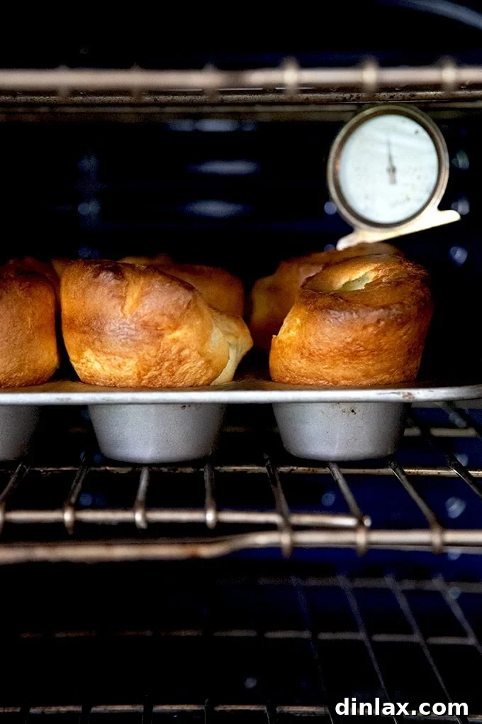 A tray of popovers in the oven, golden and dramatically risen.