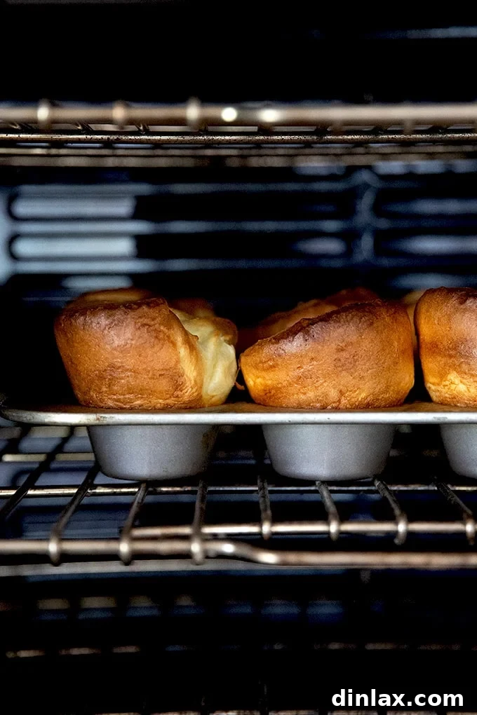 A wider shot of a tray of popovers in the oven, showing their impressive height.