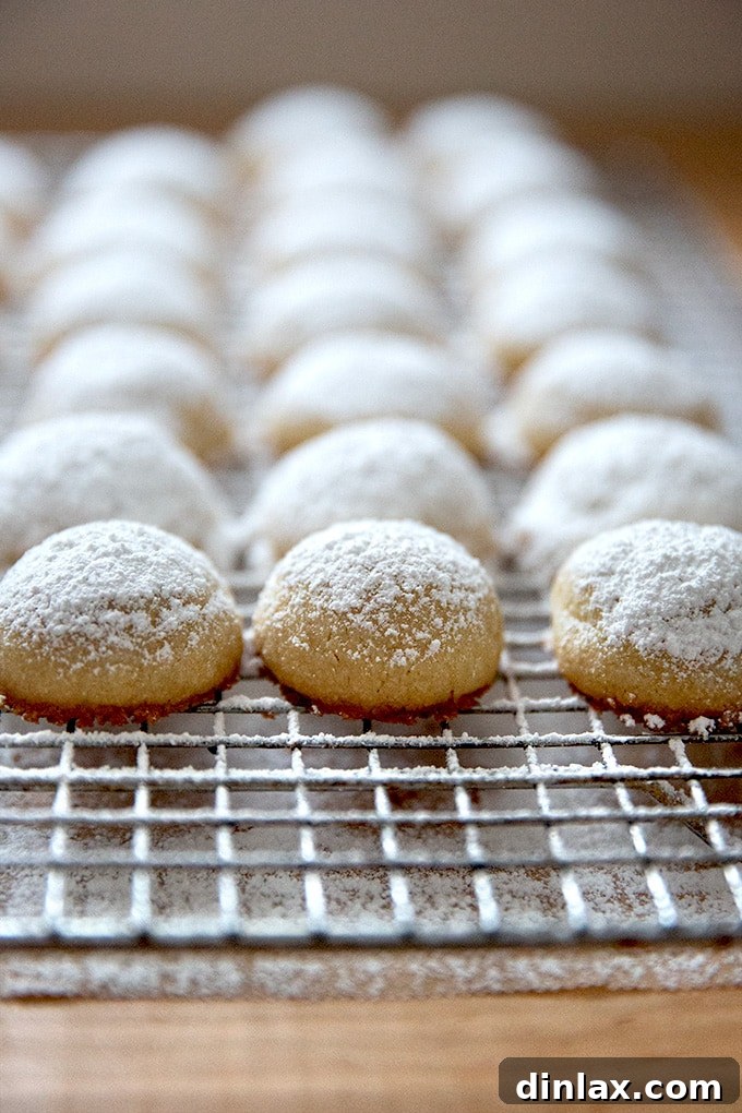A larger batch of lemon-almond snowball cookies cooling on a rack, some already dusted with powdered sugar, others waiting.