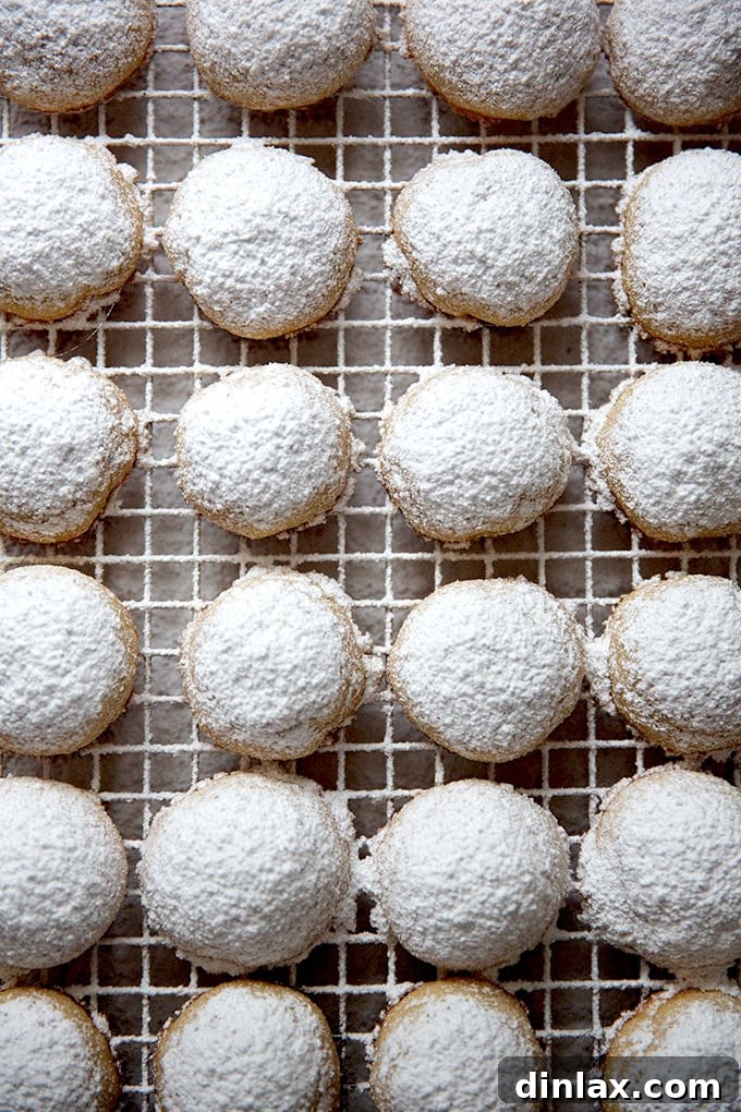 A close-up shot of several lemon-almond snowball cookies, fully cooled and perfectly dusted with powdered sugar, ready for storage or serving.