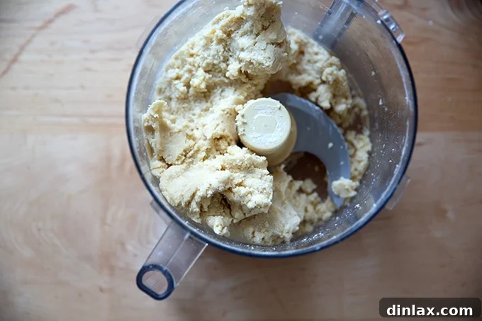 The fully processed lemon-almond snowball cookie dough, perfectly formed into a mass around the food processor blade.