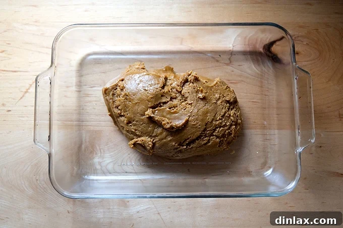 Perfectly Imperfect Gingerbread Cookie Bars 12 Thick gingerbread cookie bar dough carefully transferred into an ungreased 9x13-inch baking pan, ready to be pressed evenly.