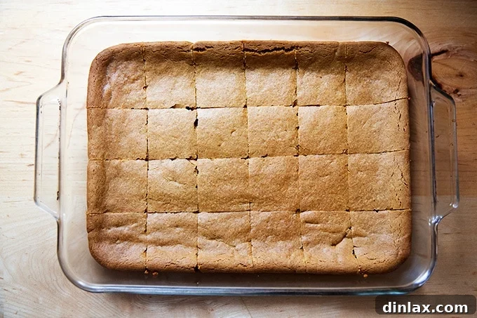Perfectly Imperfect Gingerbread Cookie Bars 15 A 9x13-inch baking pan filled with baked gingerbread cookie bars, neatly scored into 24 squares, ready for further slicing.
