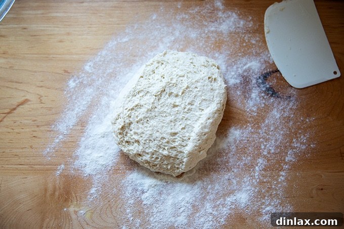 Risen gluten-free pizza dough turned out onto a lightly floured countertop.