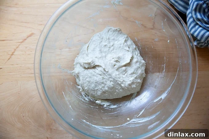 Just-mixed gluten-free pizza dough, a very wet mass, in a large bowl.