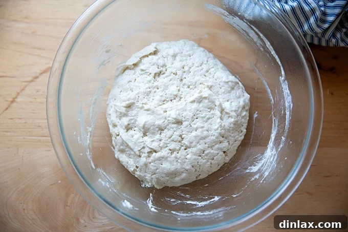 Gluten-free pizza dough after rising, significantly increased in volume, in a large bowl.