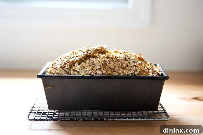 Just baked Irish brown bread, still in its pan, cooling on a wire rack.