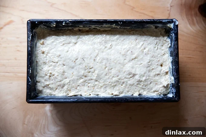 Irish brown bread batter perfectly placed in a buttered loaf pan, ready for the oven.