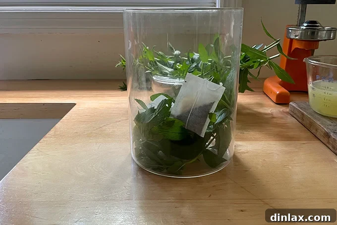 A clear glass pitcher filled with fresh mint sprigs and several black tea bags, prepared for the brewing process.