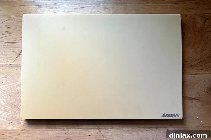 Festive Gift Ideas 2024 4 Hasegawa cutting board.