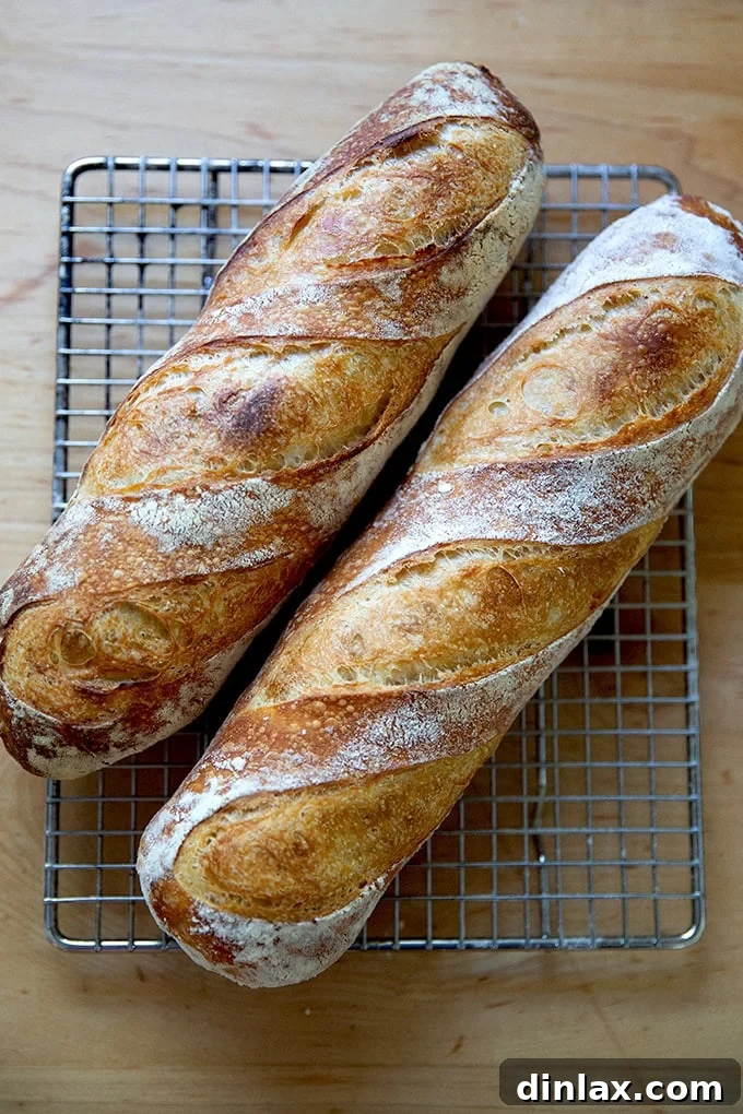 Two golden-brown baguettes resting on a cooling rack, showcasing their crisp crusts.