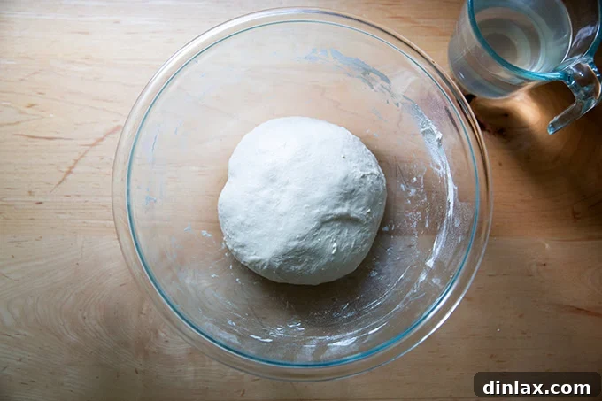Baguette dough after being stretched and folded, now smoother and more cohesive in its bowl.