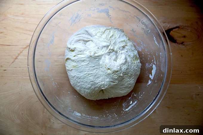 Fully deflated baguette dough, ready for portioning and shaping.