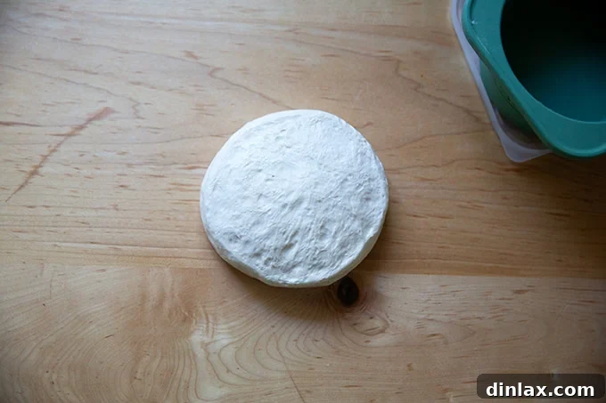 A round of baguette dough, just removed from its storage container, placed on a work surface.