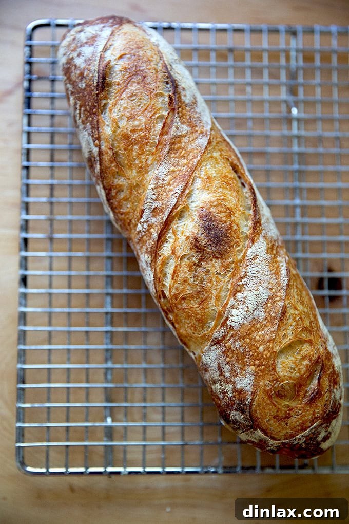 A perfectly baked baguette with a caramelized, shiny, and crisp crust on a cooling rack.