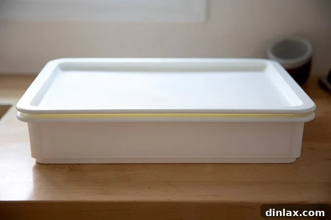 A covered container, indicating dough is proofing inside.