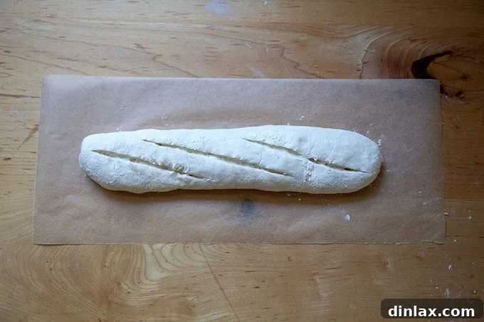 A scored baguette, with precise diagonal slashes, perfectly prepared for baking.