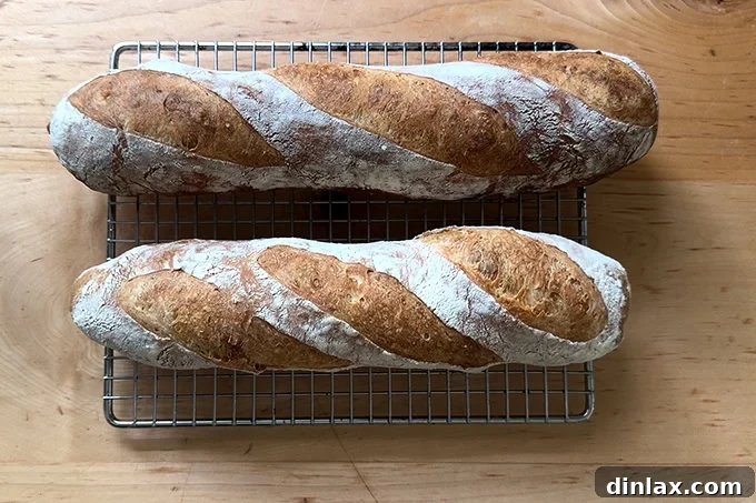 Two baguettes with dull, pale crusts, baked in an oven without steam on a baking steel.