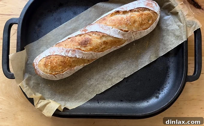 A fully baked baguette, boasting a rich golden-brown crust, resting inside the Challenger Bread Pan.