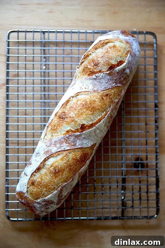 A perfectly baked baguette cooling on a wire rack, steam gently rising from its crust.