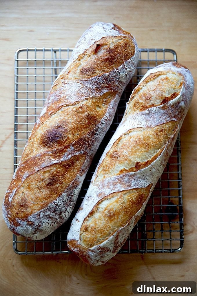 Two baked baguettes on a cooling rack, one made with Petra flour and the other with King Arthur bread flour, side-by-side for comparison.