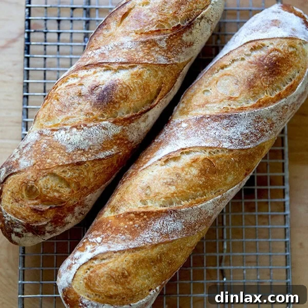 Two golden-brown baguettes resting on a cooling rack, showcasing their crisp crusts.
