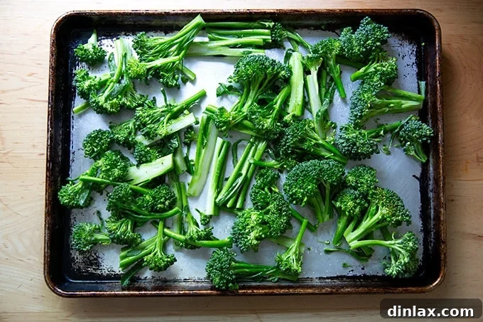 Zahmetsiz Romesco Sosu: Biberleri Soymaya Son! 13 Broccolini tossed with olive oil and salt on a sheet pan.