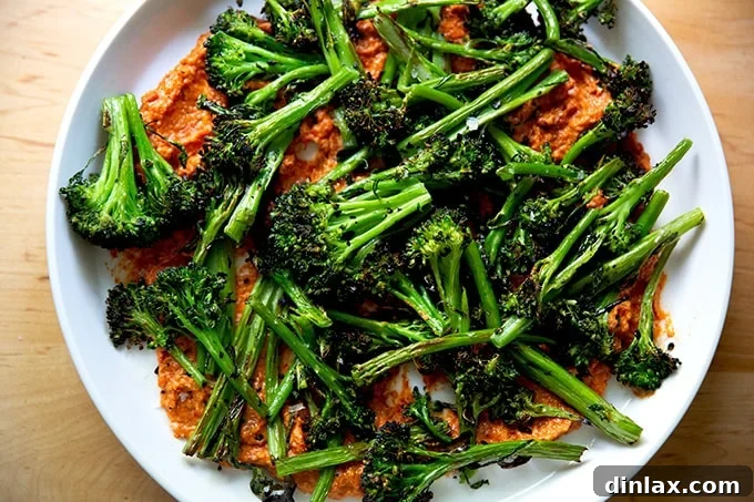 Zahmetsiz Romesco Sosu: Biberleri Soymaya Son! 3 A platter spread with romesco and topped with charred broccolini.