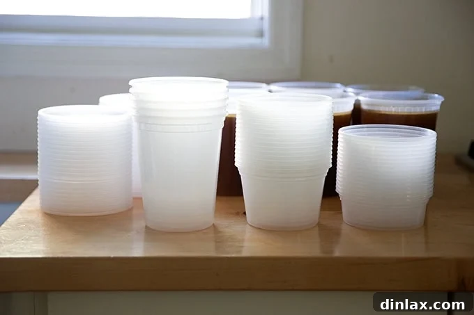 Make Ahead Roasted Turkey Wing Stock 20 A collection of practical storage containers, perfect for freezing and organizing homemade turkey stock and other culinary preparations.