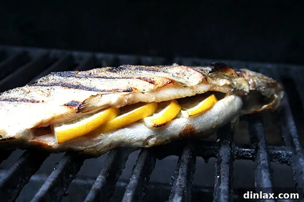 Whole trout grilling on a hot grill