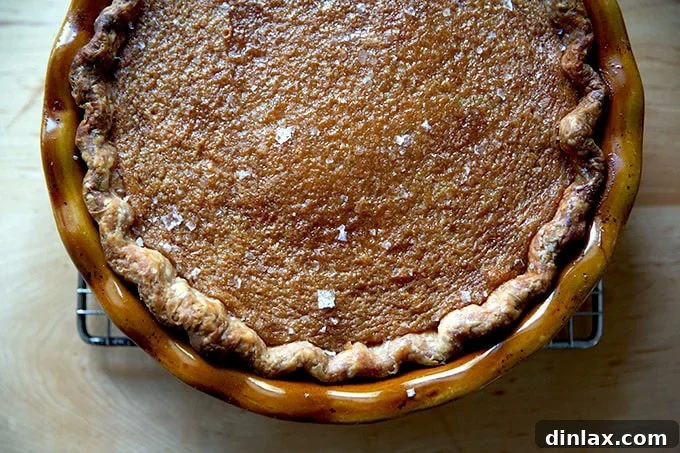 A slice of a freshly baked salted maple pie, showcasing its rich, custardy filling and flaky crust.